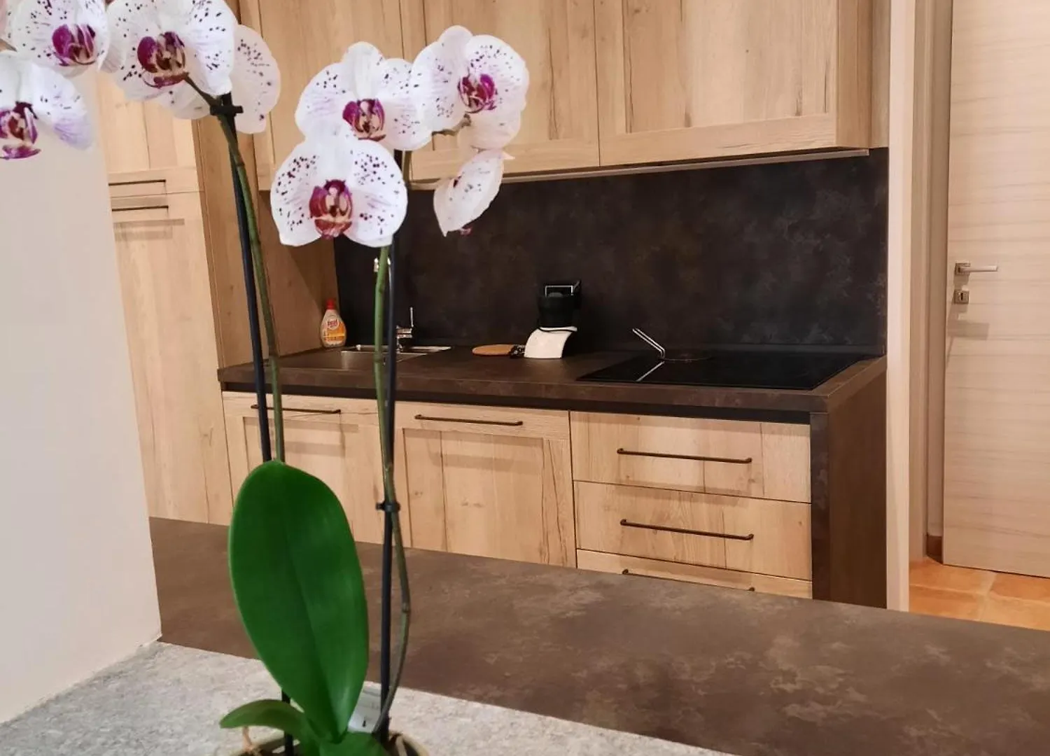 Сasa de vacaciones Le Coccinelle Home Mandello del Lario Italia